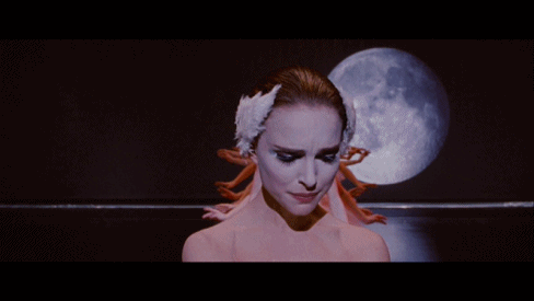 九游平台-阿尔菲诺都不玩是什么梗